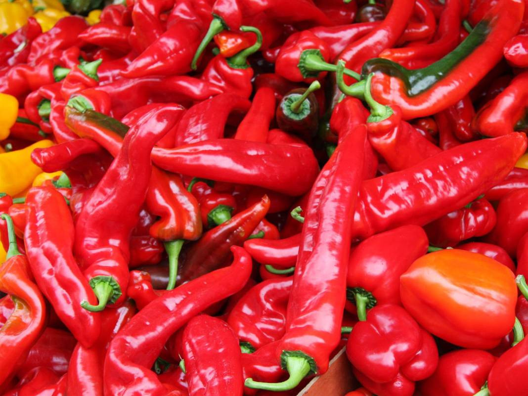 Biberleri taptaze tutuyor. Aylarca çürümüyor ve küflenmiyor - Resim: 2